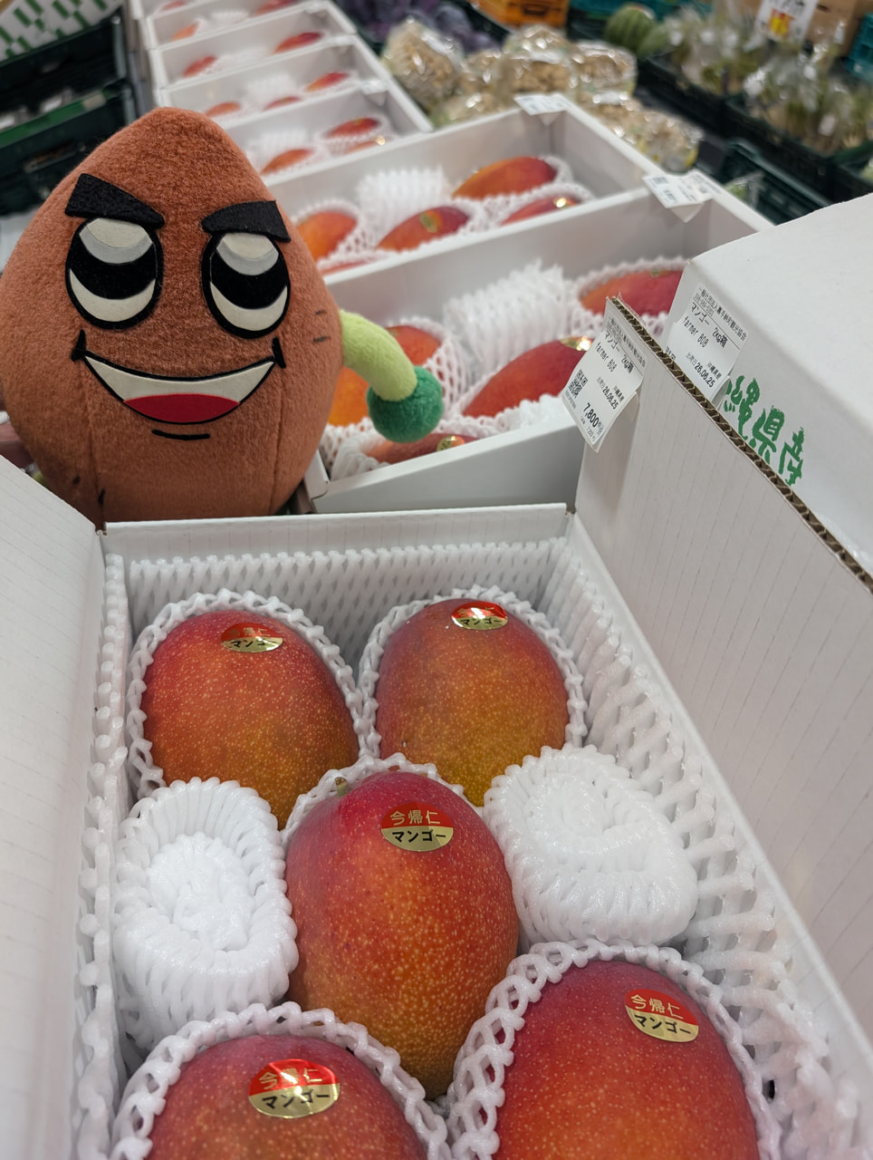 沖縄県産マンゴー入荷しました!