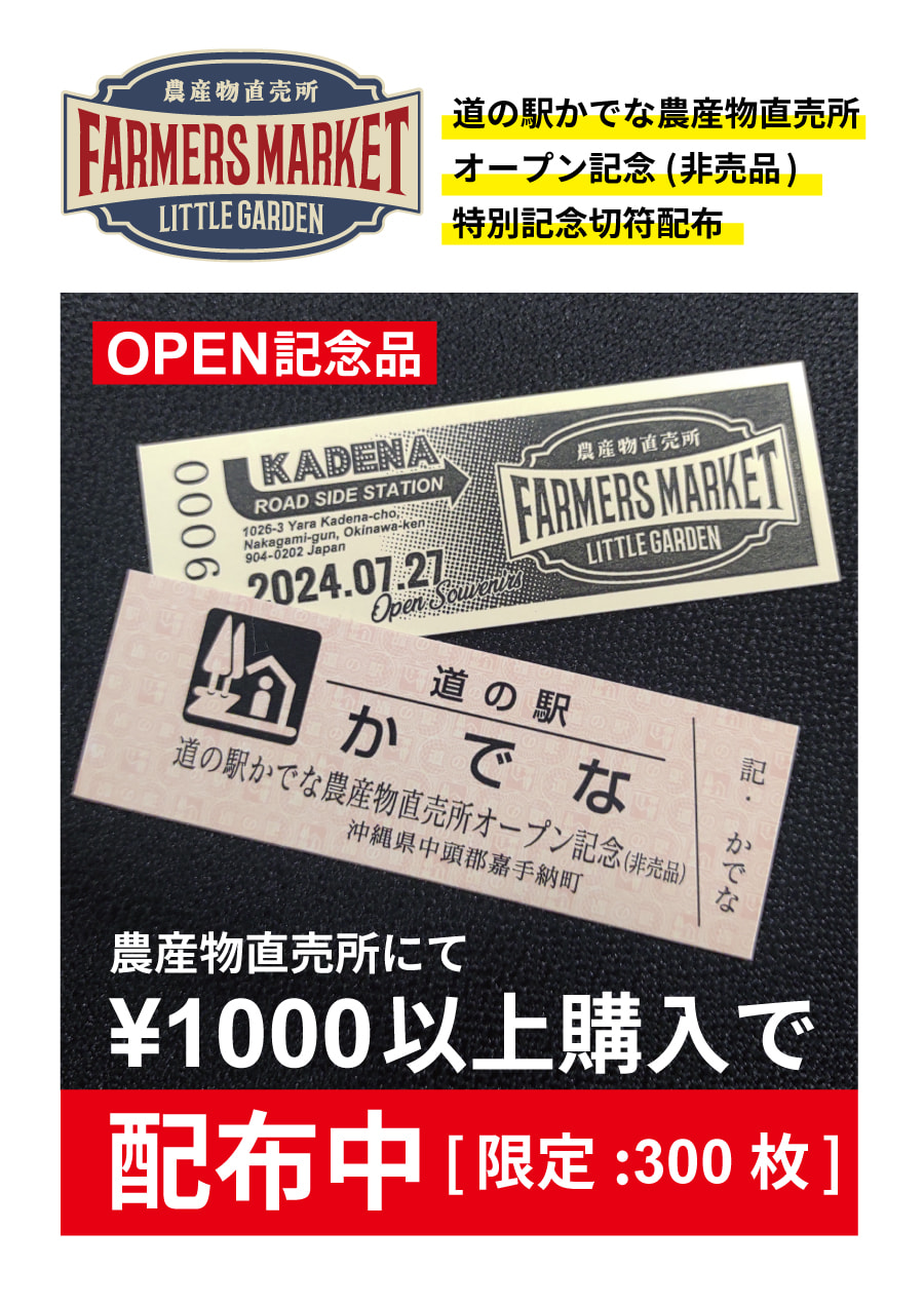 道の駅かでな/特別記念切符(非売品)配布中🎵：お知らせ｜道の駅かでな - 嘉手納基地を一望できる沖縄の観光スポット -